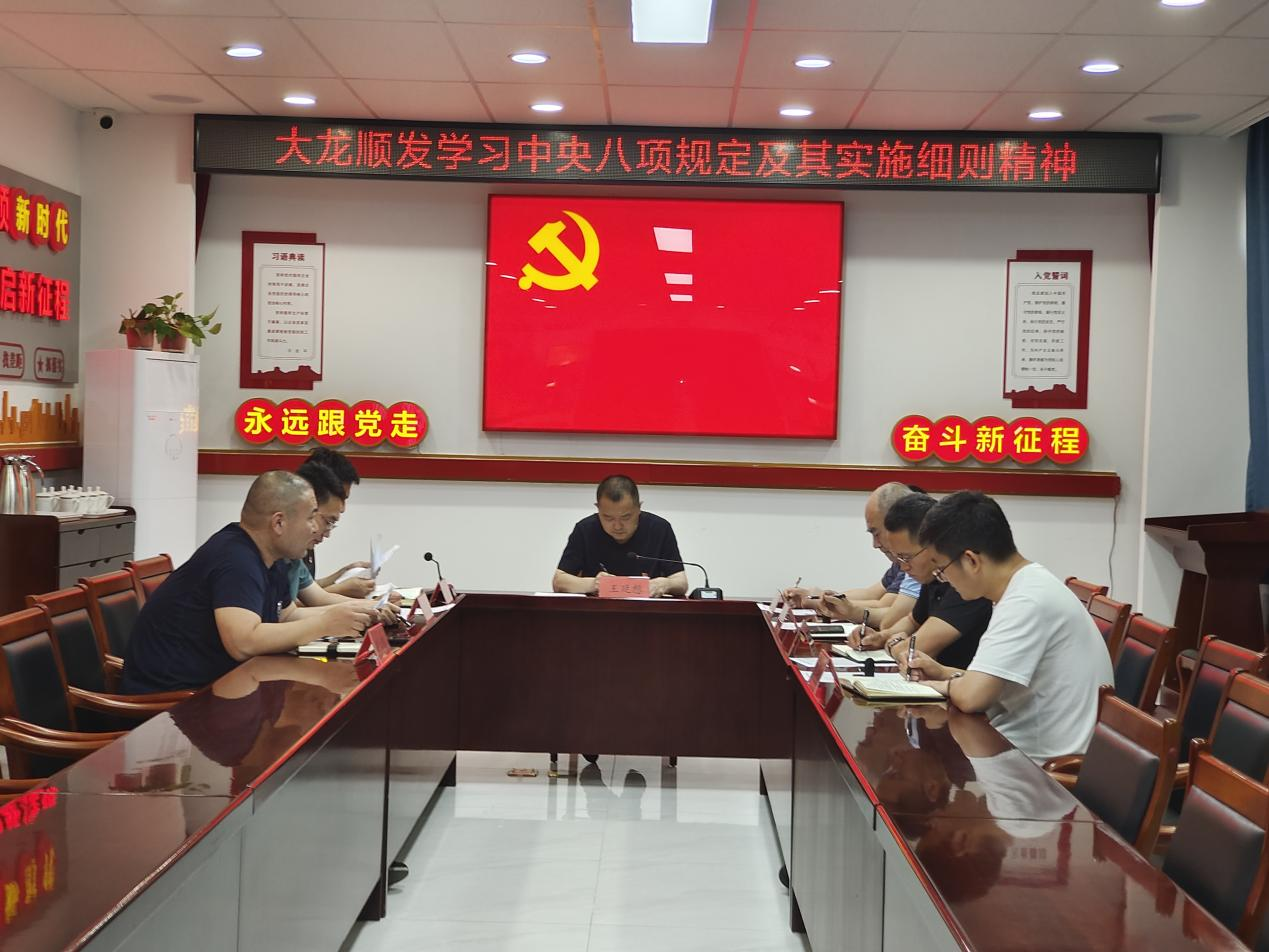 大龙顺发党支部开展深入贯彻中央八项规定精神学习教育专题学习